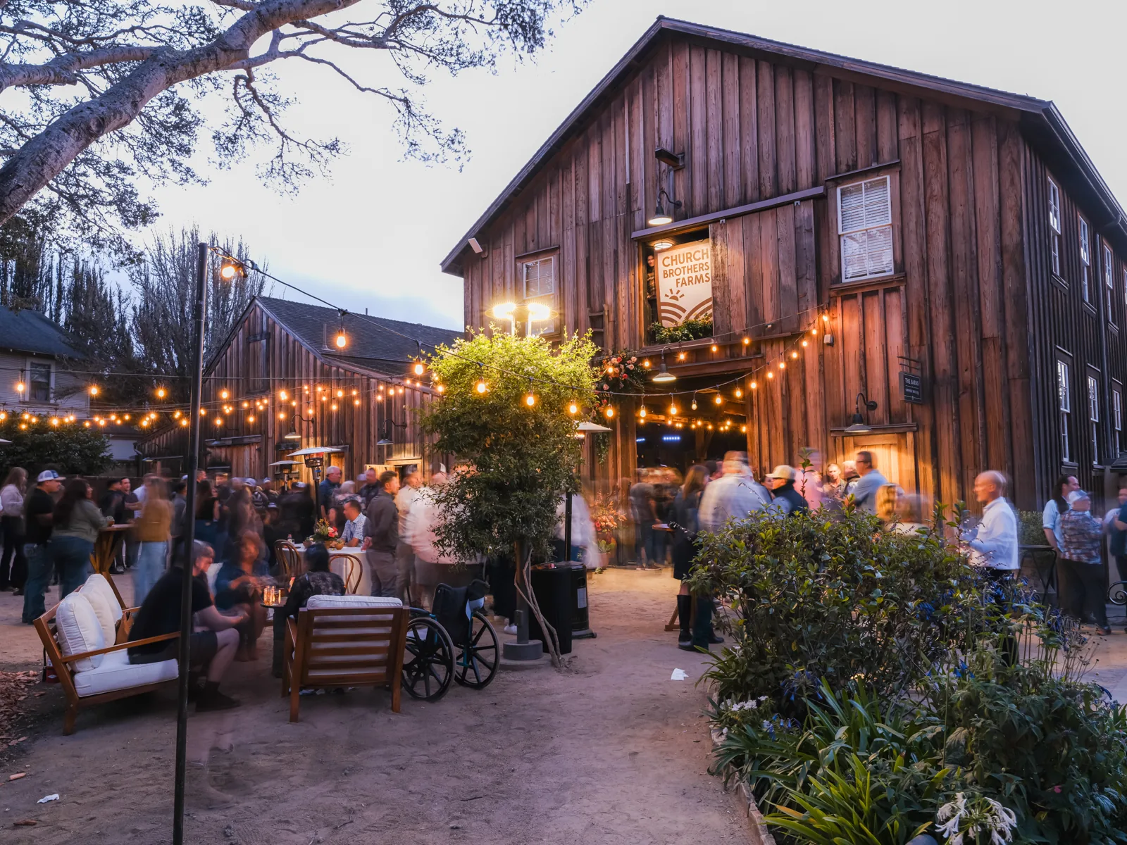 The Barns at Cooper Molera lit with string lights at twilight during the Church Brothers Farms company event, Monterey, by Manny Espinoza