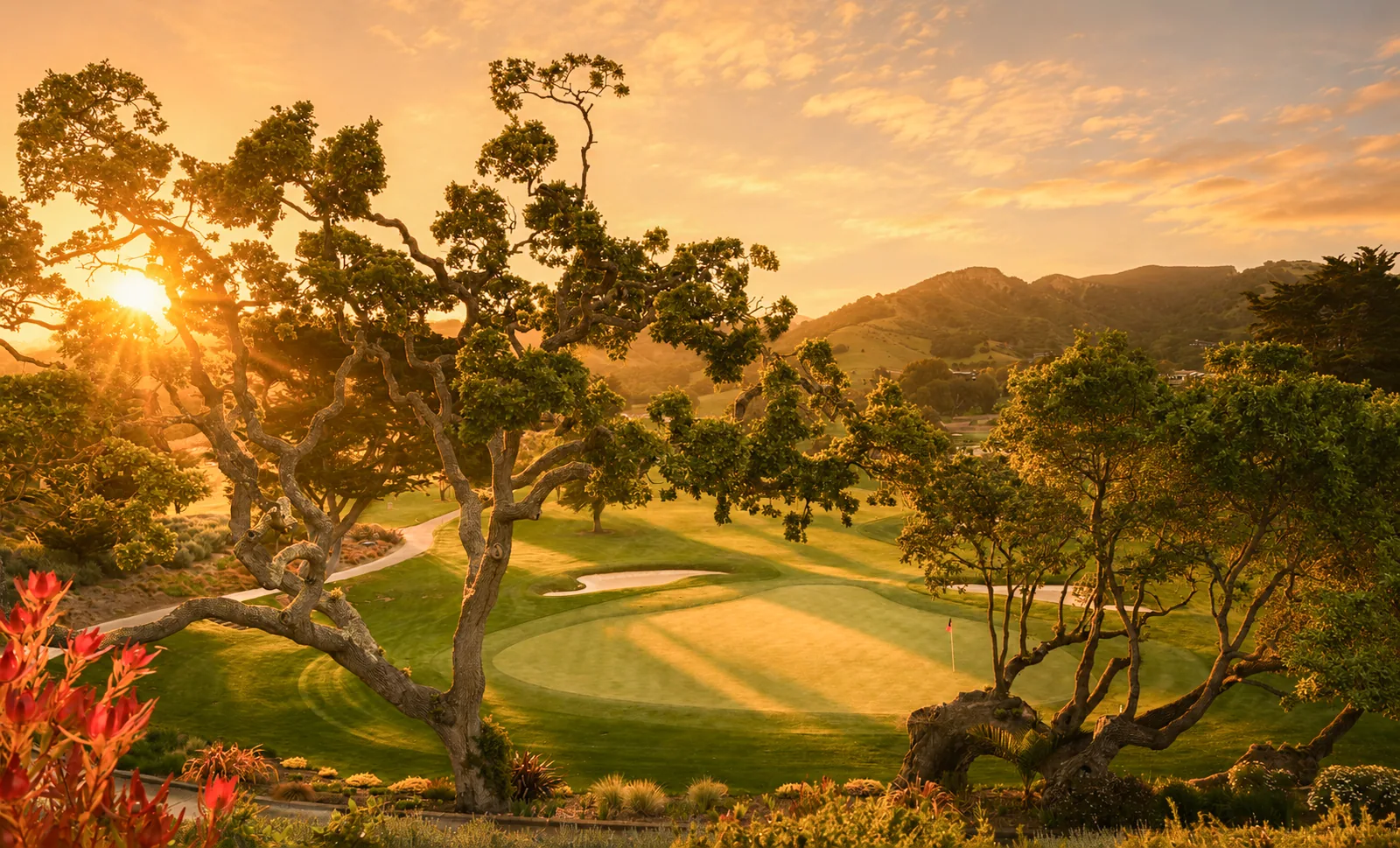 Sunrise light through an oak tree over a golf green at Corral de Tierra, by Manny Espinoza