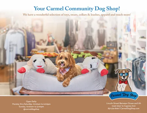 Carmel Dog Shop advertisement in 65º Magazine Fall 2026, designed by Manny Espinoza. Design and photography.
