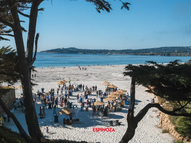 The crowd on the beach framed by cypress branches with Carmel Bay beyond at Walk for Freedom 2026 on Carmel Beach