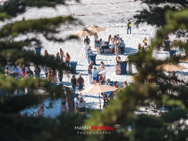 Looking down through the cypress at the umbrellas and guests at Walk for Freedom 2026 on Carmel Beach